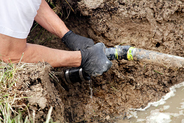 Best Trenchless Pipe Repair  in Dysart, IA